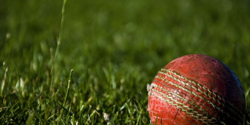 世界杯比赛用球官方发布会现场展示