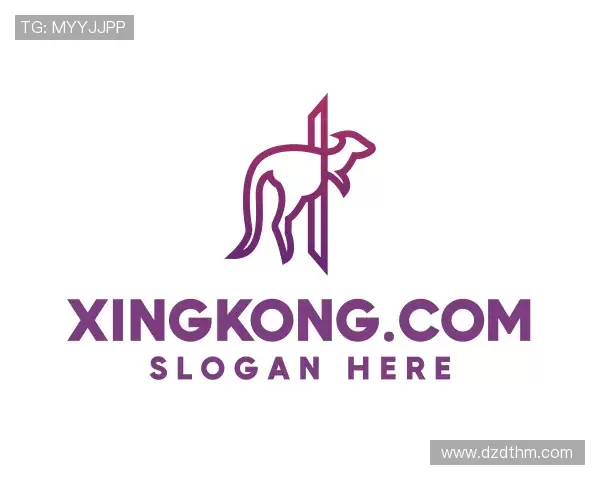 了解xingkong.com